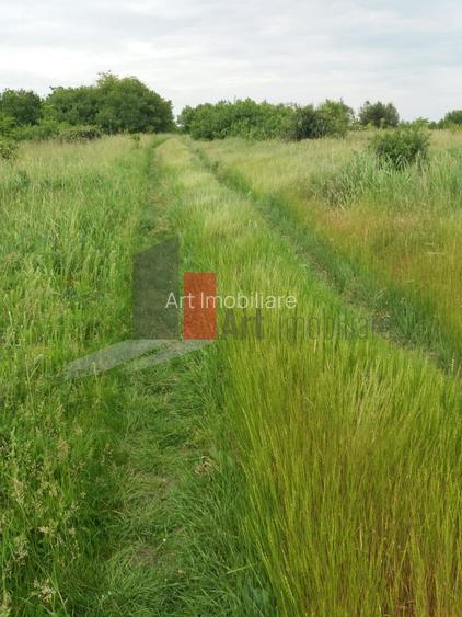 Teren Buftea cu iesire la lac - 16