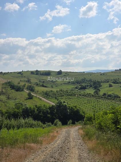 Casa de vanzare la sosea in Girbovat, langa Bozovici, 5 camere - 12