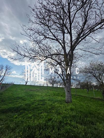 Casa individuala I Curte I Teren 1700 mp I Rosia - 48