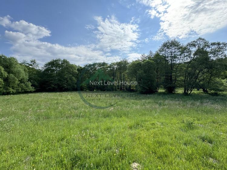 Teren extravilan - oportunitate investitie - 5