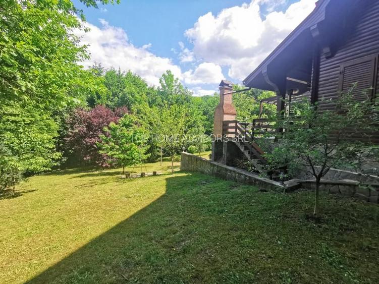 Casa de vacanta deosebita Breaza- Nistoresti - 14