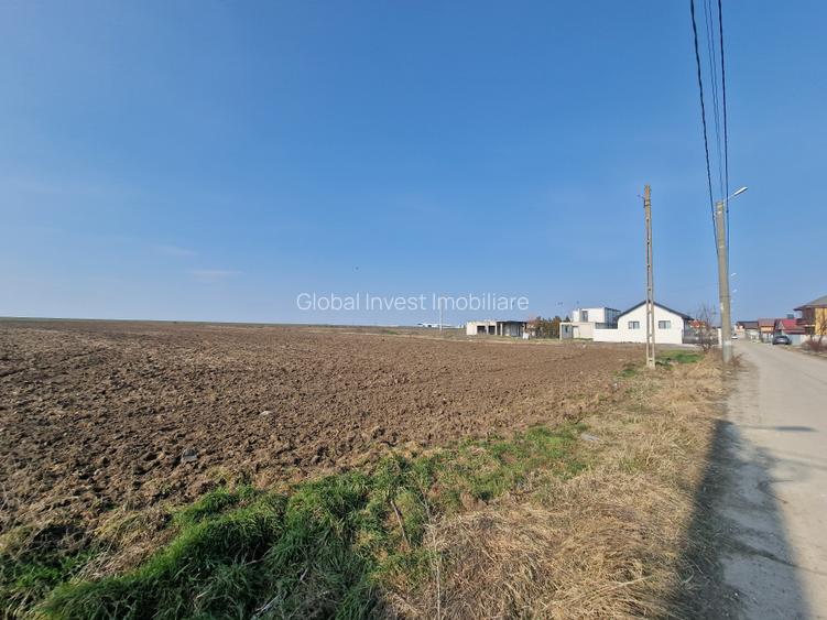 Navodari -teren 22.600mp cu deschidere la asfalt 114ml, ideal investitie - 4