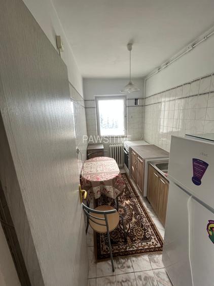 Tineretului-Parc,Garsoniera decomandata - 5