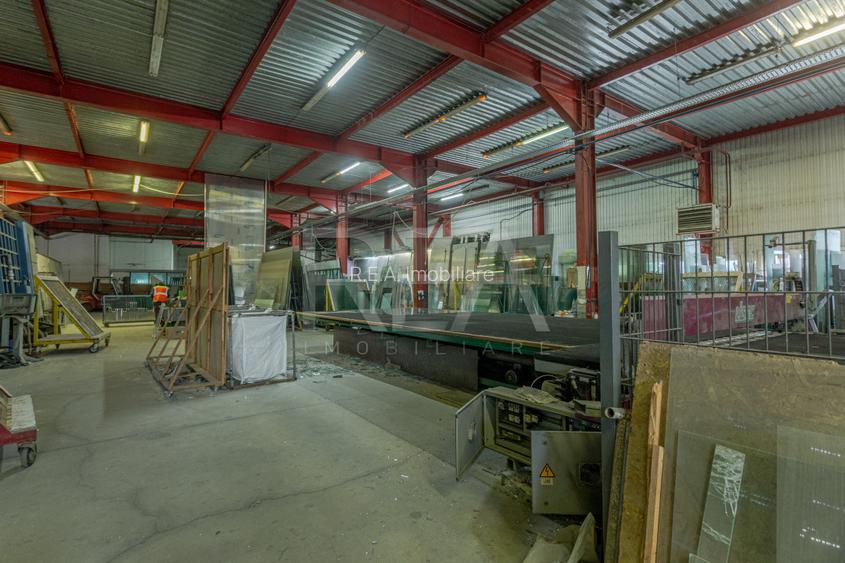 Doua hale / spatiu industrial + birouri 5000 mp / Sector 4 - 6