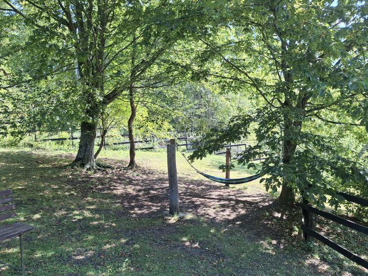 Pensiune agroturistică lângă București | Business funcțional | Iedera de Sus, DB - 13