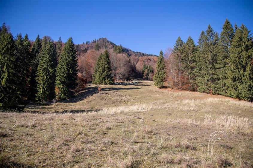 Teren de Vis langa Siriu  – 20000 mp ideal pentru Complex turistic Comision 0% - 18