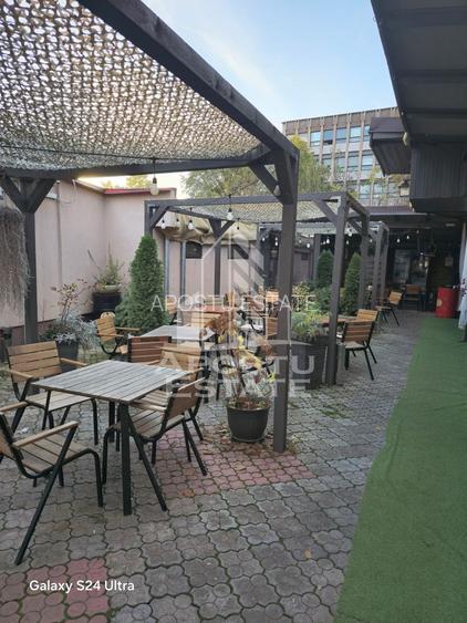 Afacere la cheie, in apropierea Castelului Corvinilor in Hunedoara - 37