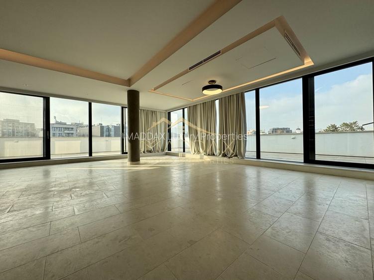 Resedinta de lux / * Kiseleff* - 8