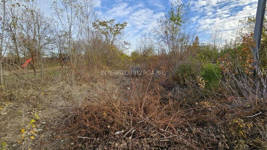 Teren Nisipoasa 3000mp - 2