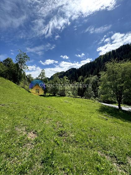 Teren 11557 mp comuna Ceahlau - 9