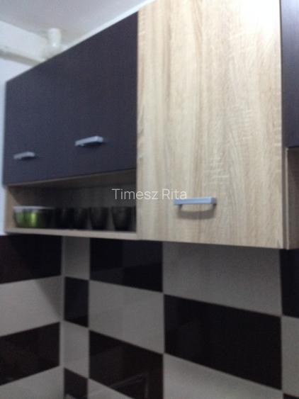 Garsoniera de vanzare-Grigore Balan 25 - 13