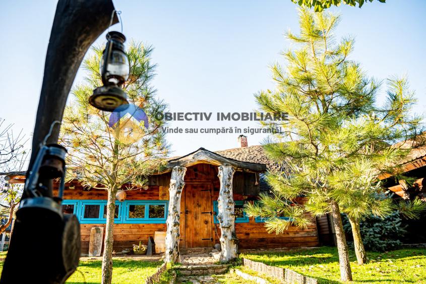 Oportunitate de Investiție! Afacere la Cheie în Turism – Disponibilă Acum! - 4