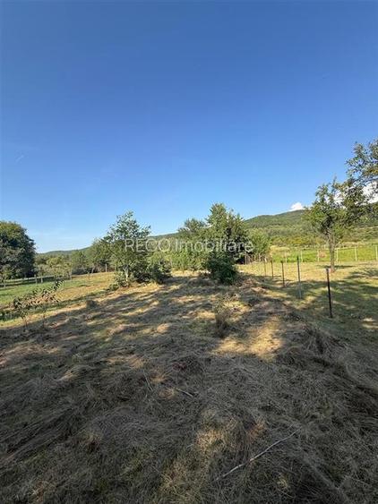 RECO . Casa in Saliste de Vascau . - 12