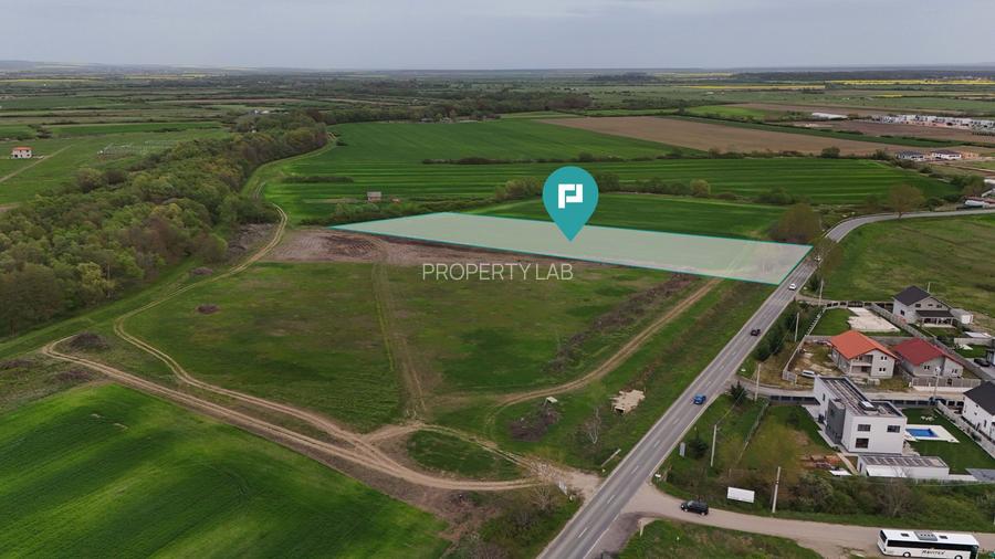 Teren intravilan 5800 mp în Remetea Mare - 2