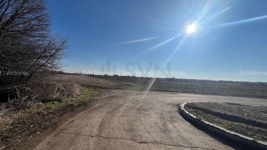 REL4000892 Corbeana - Ostratu 15200 mp langa padure - 2