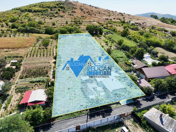 Casa cu teren in Telita - 3549MP - zona foarte frumoasa - 2