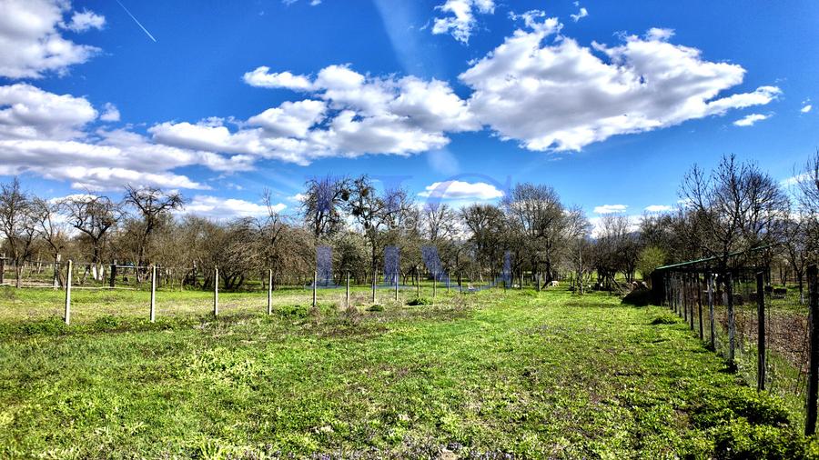 Casă 4 camere|Grădină 1600m | Vedere Făgăraș | Săcădate| 25 min Sibiu - 19