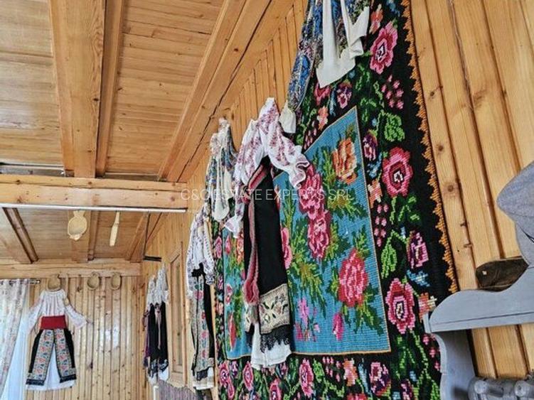 Pensiune in jud. Buzau, loc Ivanetu| Constructie lemn|Pozitionare impresionanta - 28