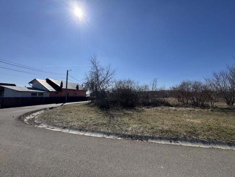 Cel mai bun teren din Paulesti - 4