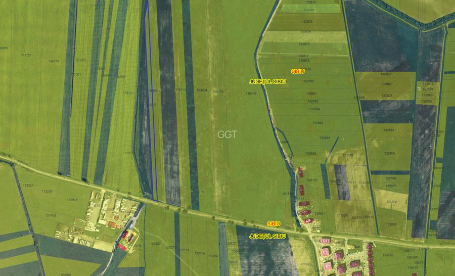 Vanzare teren 10.000mp Calea Surii Mici, direct de la proprietar! - 2