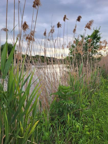 VANZARE TEREN CU VEDERE LAC CORBEANCA PRET NEGOCIABIL - 2