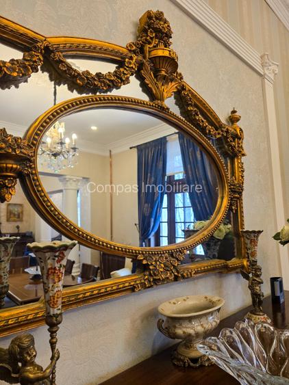 Domeniu fabulos zona Varatec - 20