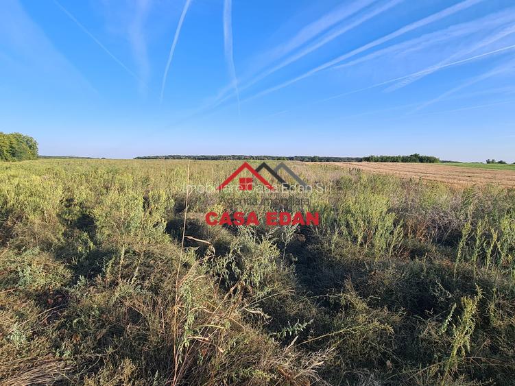 Teren extravilan in Urleta--5000m--18.500e - 5