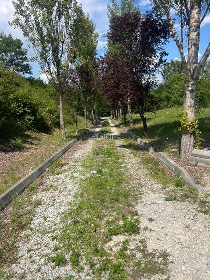 Casa cu variante de dezvoltare pensiune,clinica sau casa particulara privata 100 - 4