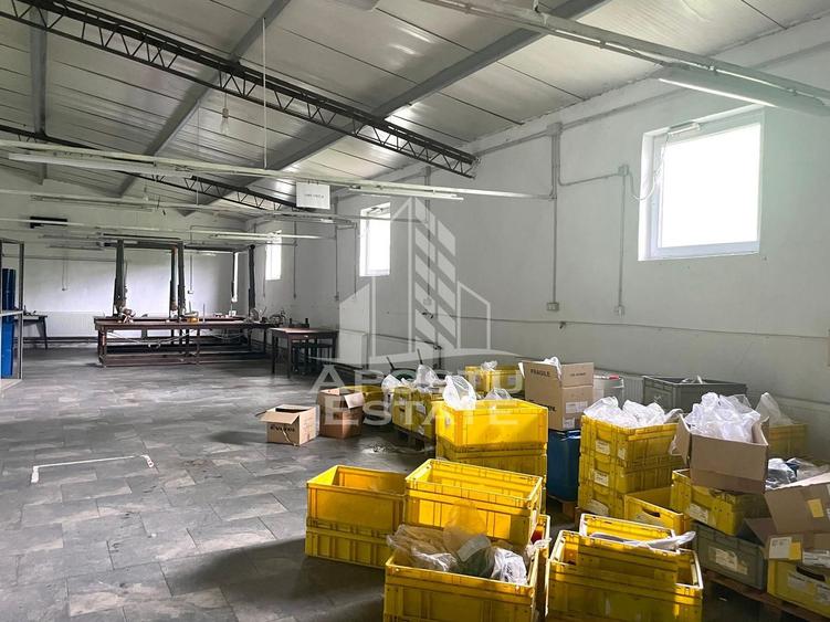 Spatii productie si depozitare, zona Sebis - Prunisor-Carand