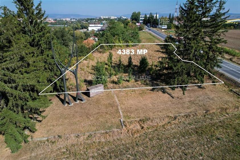 Film! Deschidere la drum principal, cu PUZ, 4.383 mp, Chilieni, Covasna - 5