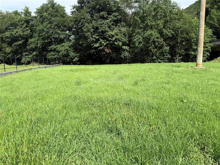 Comisan0%Teren intravilan Somesu Rece Lunca - 2