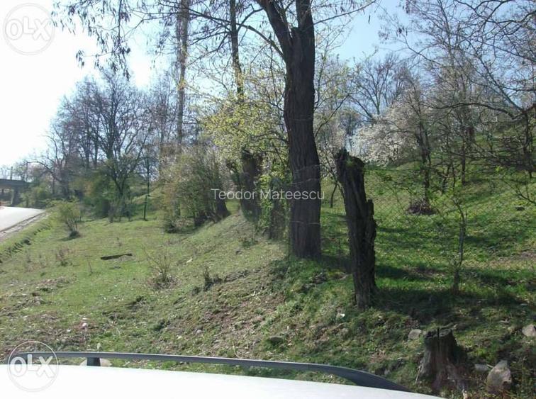 Vand Teren Intravilan Maneciu-Ungureni, Jud. Prahova - 7