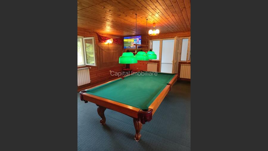 Vila superba 7 camere, Provita de Jos, 22.000 mp teren - 3