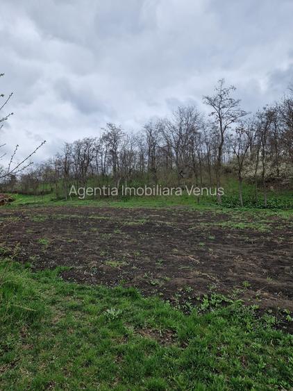 Casa batraneasca cu 4260mp teren la Costesti - 5