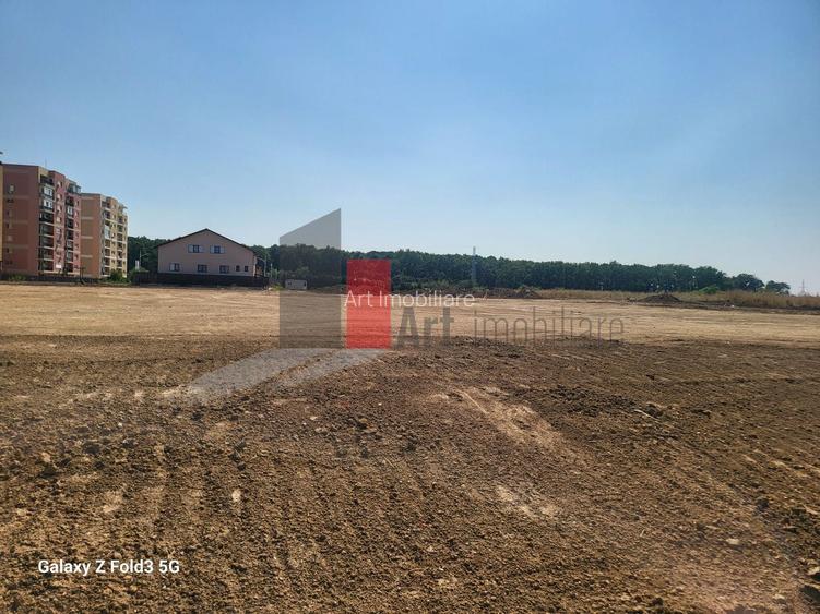 Teren Intravilan Matei Milo - 2