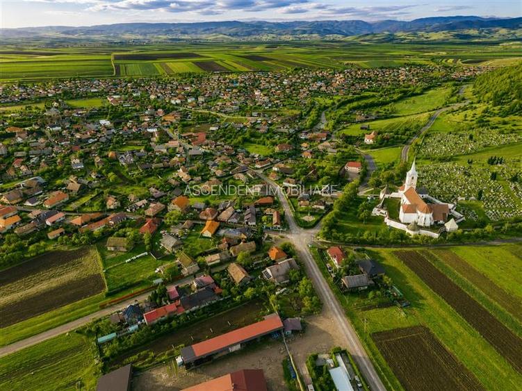 FILM! Gospodarie cu atmosfera traditionala,1.032 mp de verde si gradinarit, Sanz - 7