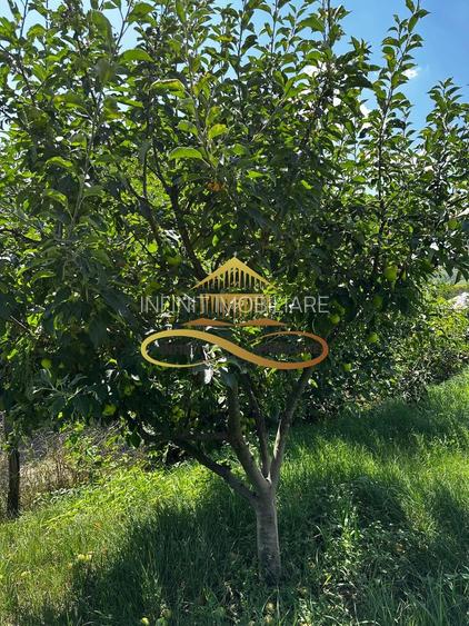 Casa de vanzare in Secuieni / Bacau - 17