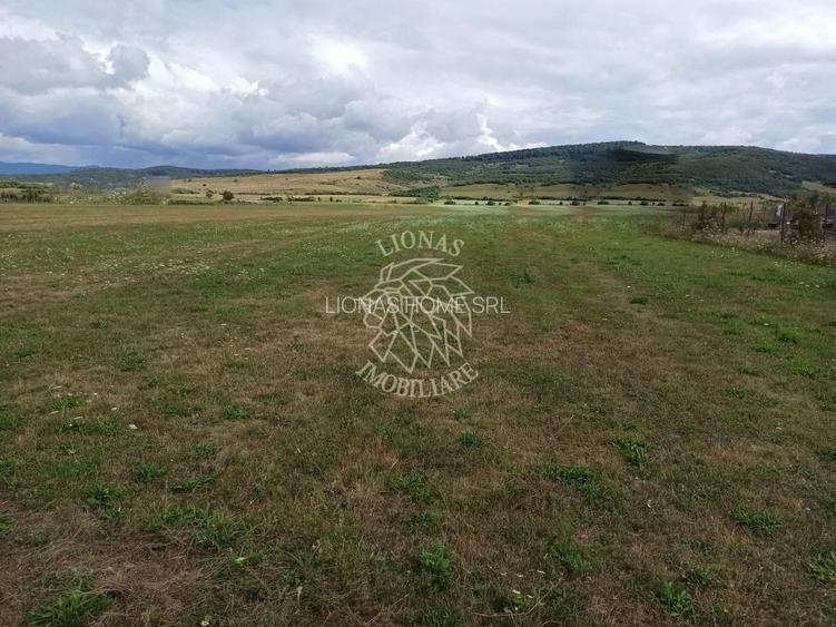 Teren intravilan 5217 mp cu utilitati-ideal case-Livezile - 3