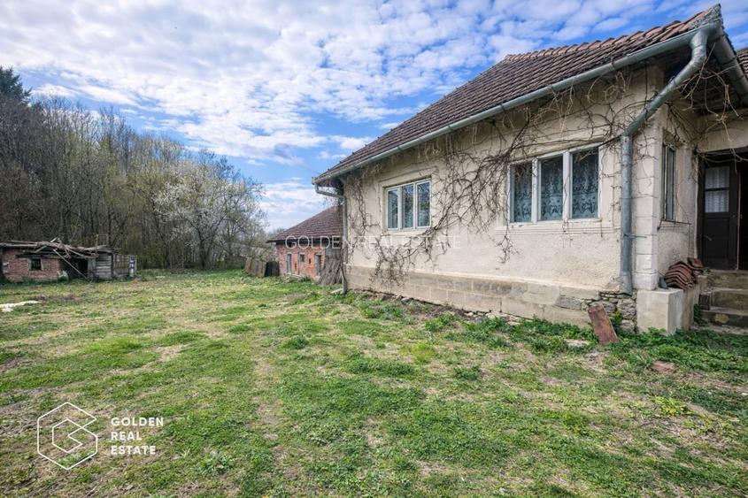 Casă cu teren generos 1.944 mp, Măgulicea, Vârfurile - 3