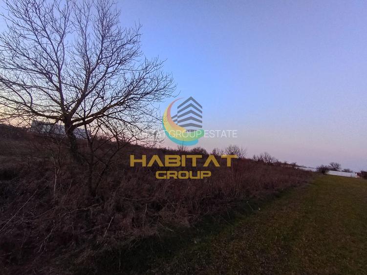 Teren Adunatii Copaceni 1500 mp Strada Ulmului Ideal Case-Vile - 5