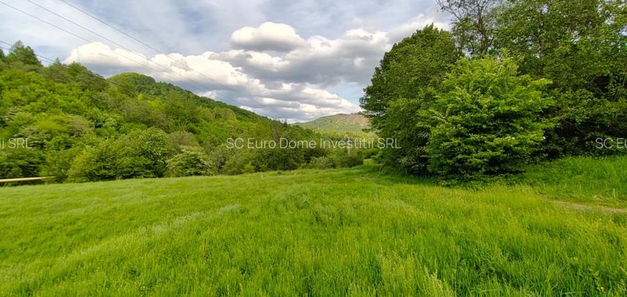 Teren plat cu front mare la DN73A Rasnov- Predeal - 2