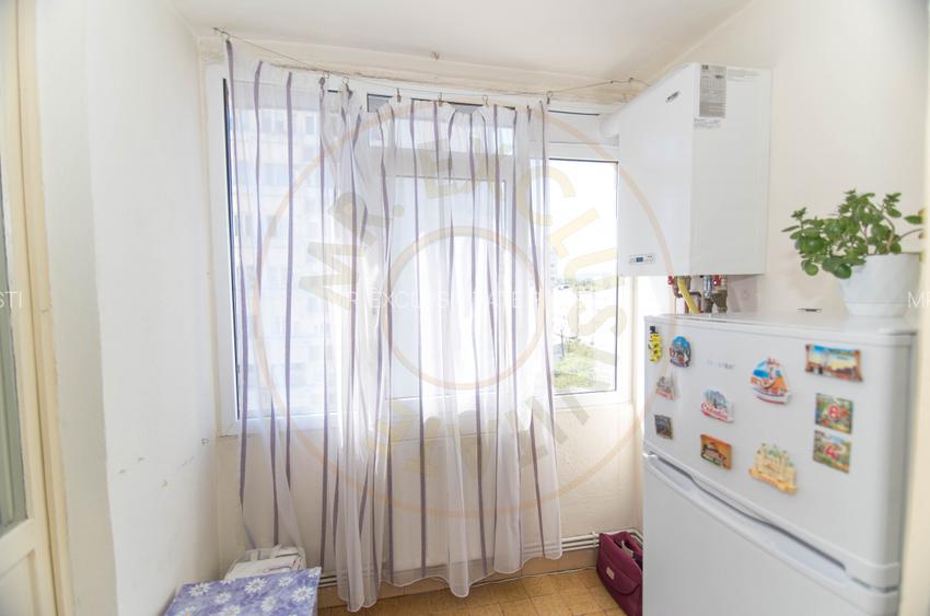Apartament ultracentral Pitesti - 9