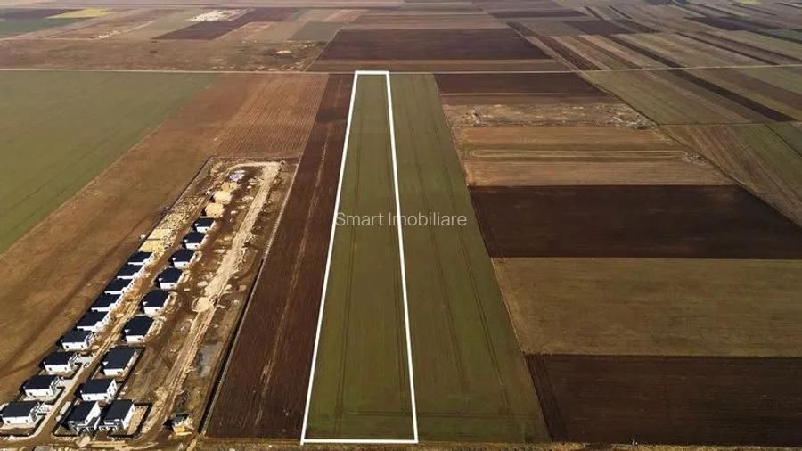 Teren constructii 4ha Tarlungeni - 4