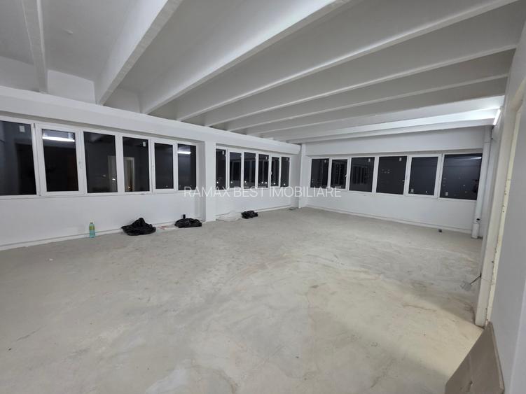 Theodor Pallady, 10 minute metrou 1 Decembrie 1918, stradal - 5