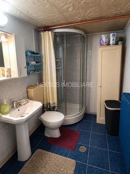 Casă de vanzare cu 4 camere 107 mpu pivnita anexe curte gradina Sebes - 7