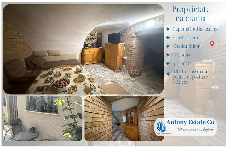 Proprietate cu crama, Ultracentral, casa de vanzare, Oradea, Bihor - 12