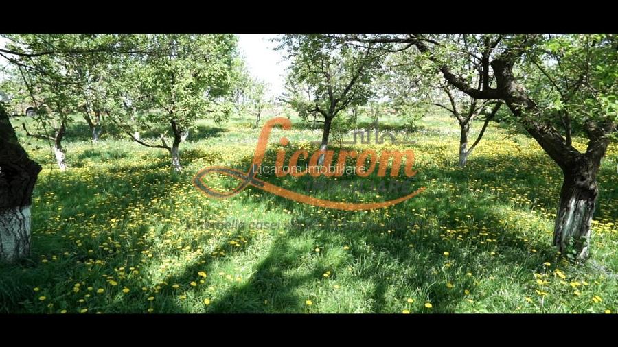 Oferta Conac boieresc P+M,teren 20400 mp - 17