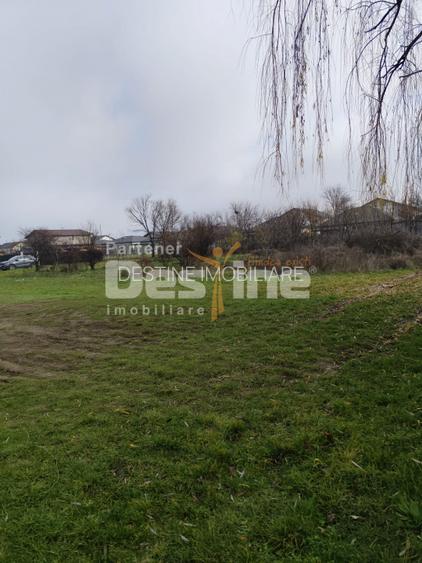 TEREN DE VANZARE DOMNESTI, 600 mp - 6