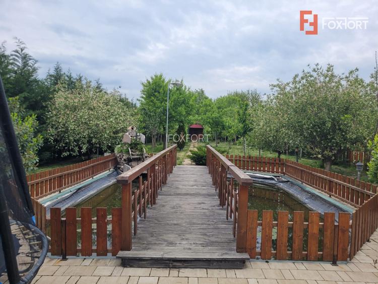 Casa deosebita in Sacalaz - vatra satului la 15 minute de Timisoara - 10