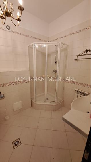 Kiseleff (adiacent), 4 camere de inchiriat,  156 mp, p/5, terasa, curte 150 mp, - 14